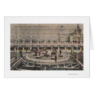 Coney Island, NY - Luna Park Circus Act Cards