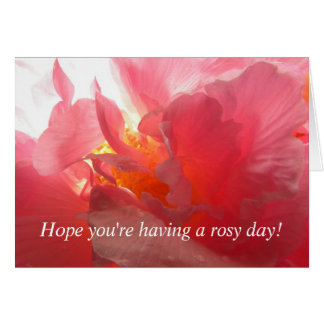 Confederate Rose Cards