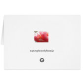 Confederate Rose Cards (Back Horizontal)