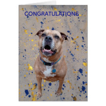 Confetti Congratulations Card