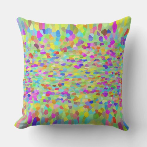 Confetti Garden Fringe Throw Pillow