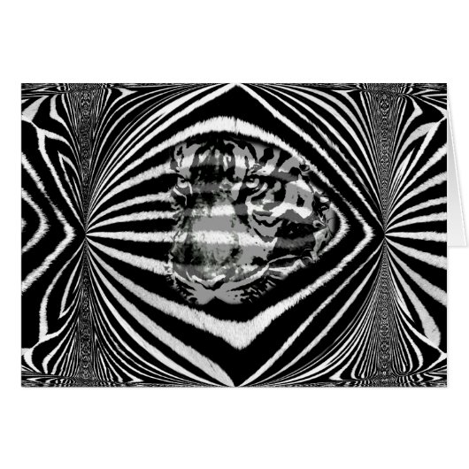 Confidence_ (Front Horizontal)