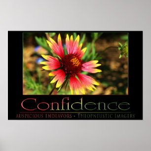 Confidence Poster