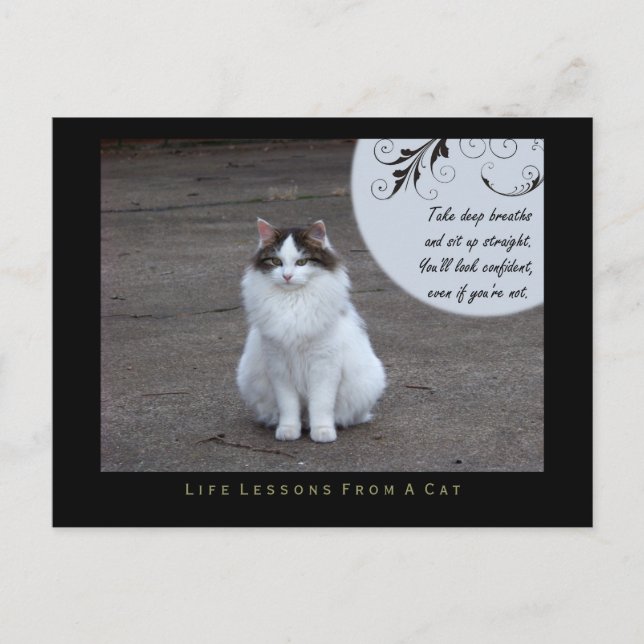 Confident Life Lessons From a Cat Postcard (Front)