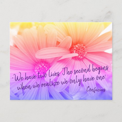 Confucius Quote Colorful Pastel Hues Daisy Flowers Postcard