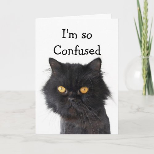Confused Black Persian Cat Happy Birthday Card