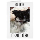 CONFUSED HAVANESE CAN'T BELEIVE YOU ARE "40" (Front)