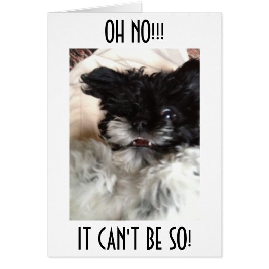 CONFUSED HAVANESE CAN'T BELEIVE YOU ARE "40" CARDS (Front)
