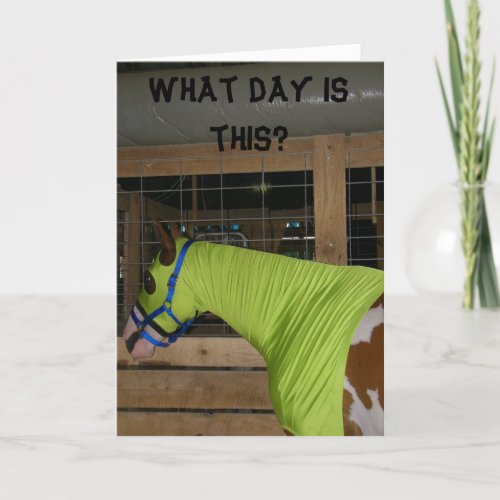 CONFUSED HORSE BIRTHDAY CARD