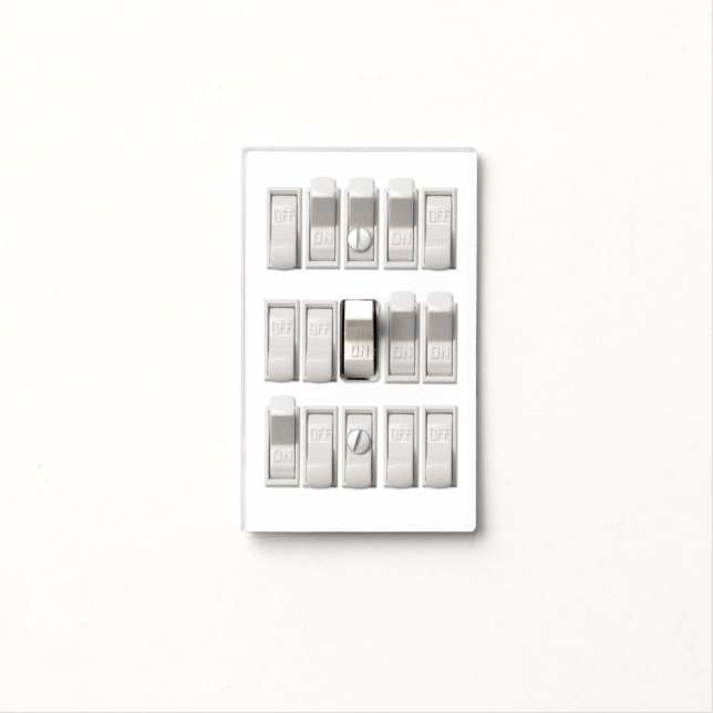 Confused Light Switch Cover (In Situ)