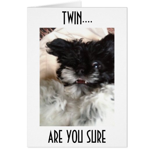 CONFUSED PUP SAYS HOW CAN YOU BE **50** TWIN? (Front)