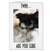 CONFUSED PUP SAYS HOW CAN YOU BE **60** TWIN? (Front)