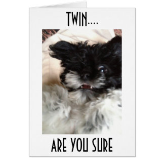 CONFUSED PUP SAYS HOW CAN YOU BE **60** TWIN? CARDS