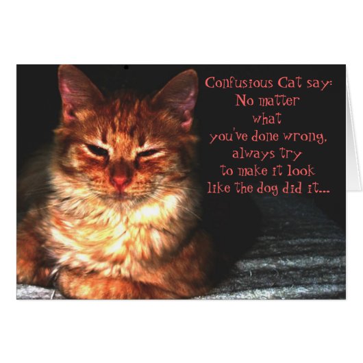 Confusious Cat say: Cards (Front Horizontal)
