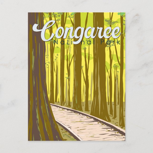 Congaree National Park Illustration Travel Vintage Postcard (Front)