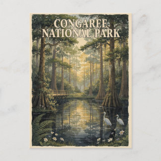 Congaree National Park Swamp Forest Travel Postcard