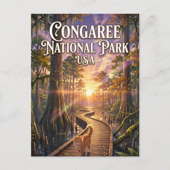 Congaree National Park USA Postcard (Front)