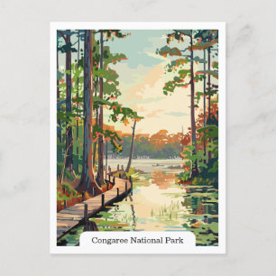Congaree National Park USA Postcard
