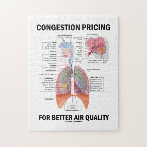 Congestion Pricing For Better Air Quality Jigsaw Puzzle