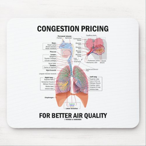 Congestion Pricing For Better Air Quality Mouse Pad