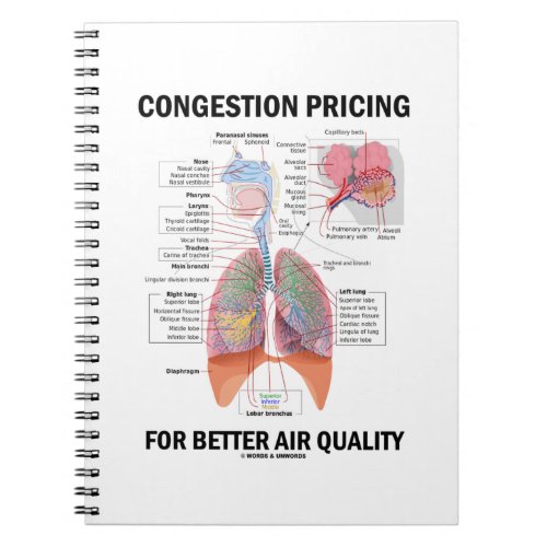 Congestion Pricing For Better Air Quality Notebook