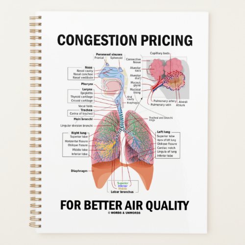 Congestion Pricing For Better Air Quality Planner