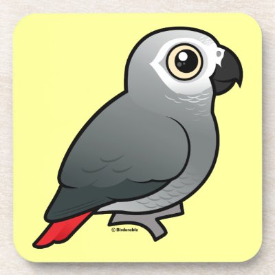 Congo African Grey Coaster