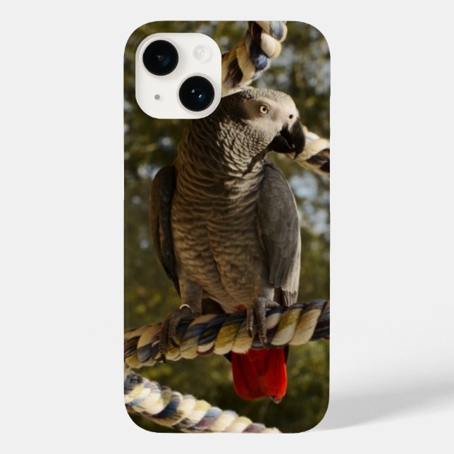 Congo African Grey on a Swing Case-Mate iPhone Cas Case (Back)