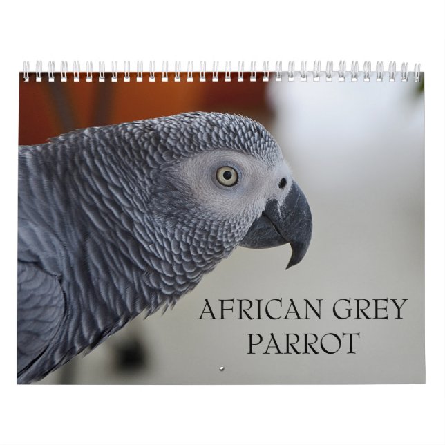 Congo African Grey Parrot Calendar (Cover)
