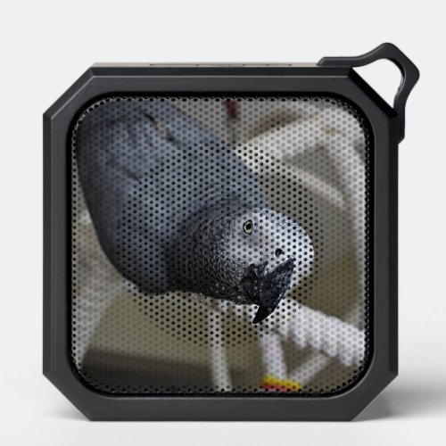 Congo African Grey Parrot Having Fun Bluetooth Speaker