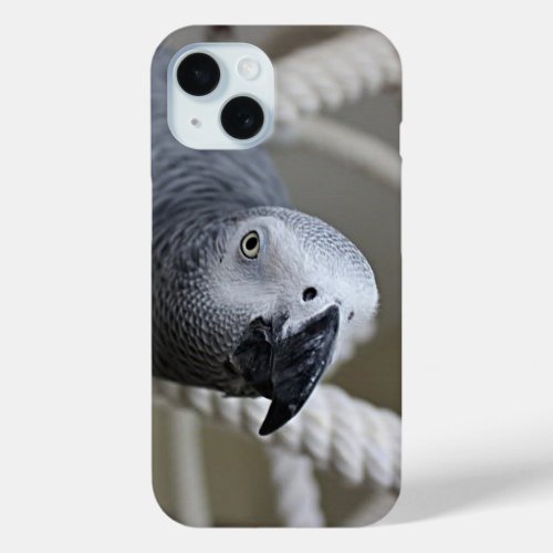 Congo African Grey Parrot Having Fun iPhone 15 Case