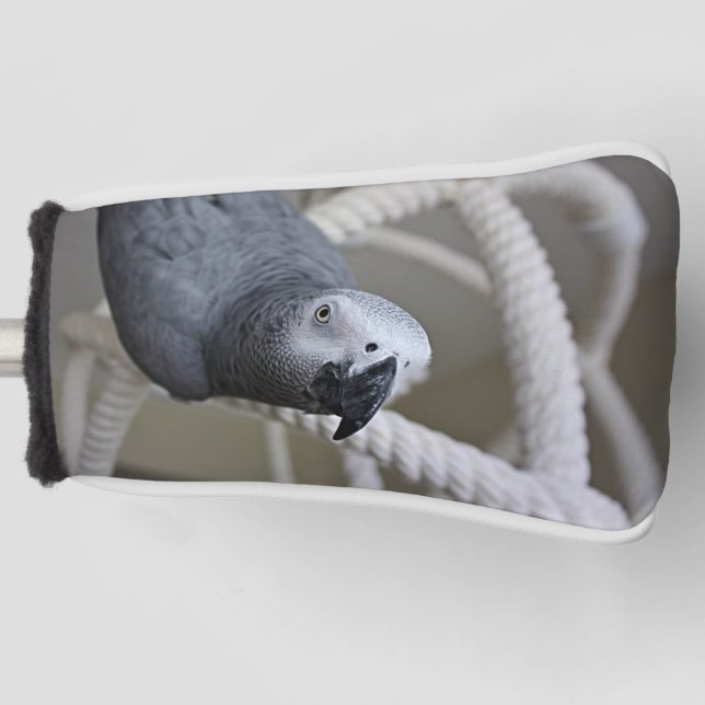 Congo African Grey Parrot Having Fun Golf Head Cover (Front)