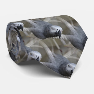 Congo African Grey Parrot Having Fun Neck Tie