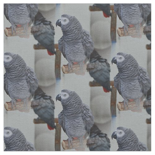 Congo African Grey Parrot in Mirror Fabric