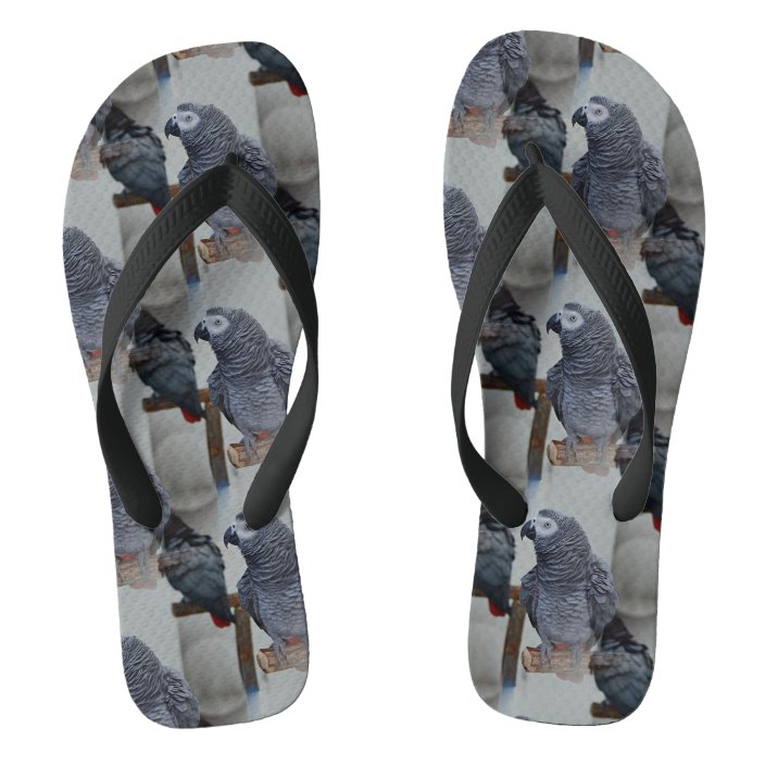 parrot flip flops