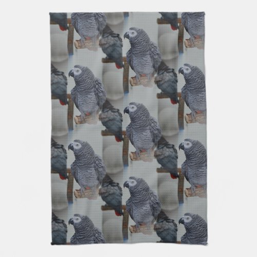 Congo African Grey Parrot in Mirror Kitchen Towel