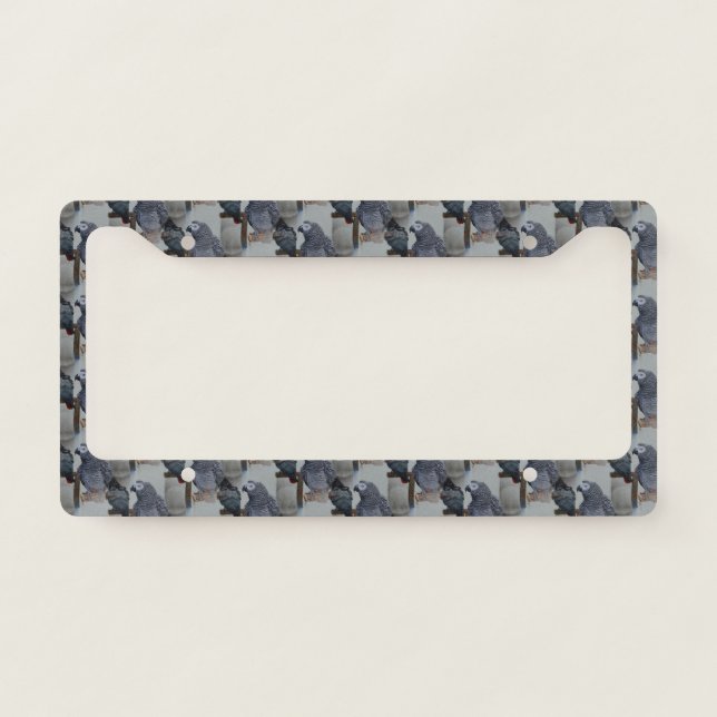 Congo African Grey Parrot in Mirror License Plate Frame (Front)