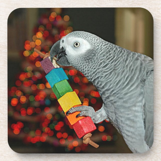 Congo African Grey Parrot Merry Christmas Tree Beverage Coaster (Front)