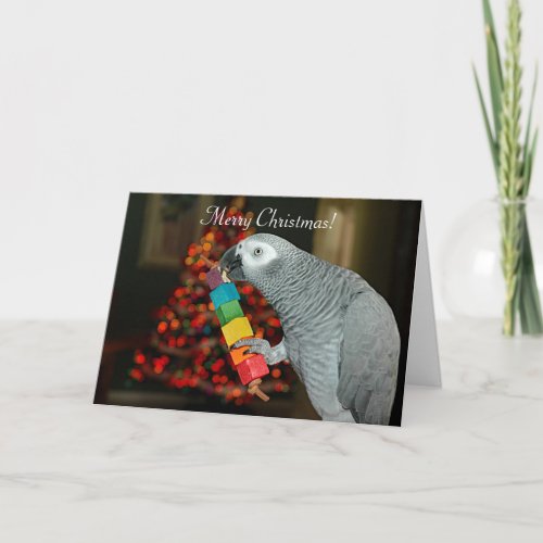 Congo African Grey Parrot Merry Christmas Tree Card