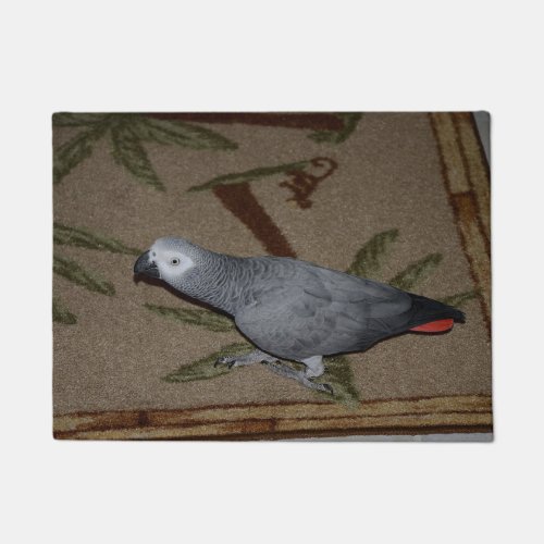 Congo African Grey Parrot on Floor Doormat