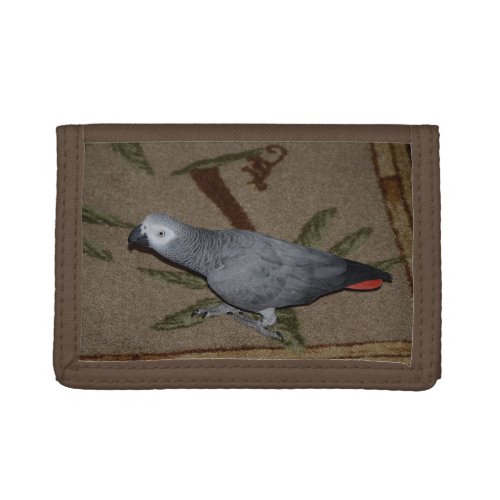 Congo African Grey Parrot on Floor Trifold Wallet