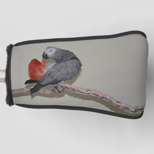 Congo African Grey Parrot Tail Preening Golf Head Cover