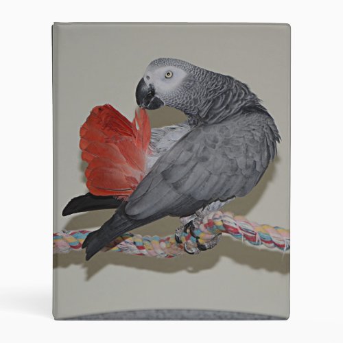 Congo African Grey Parrot Tail Preening Mini Binder