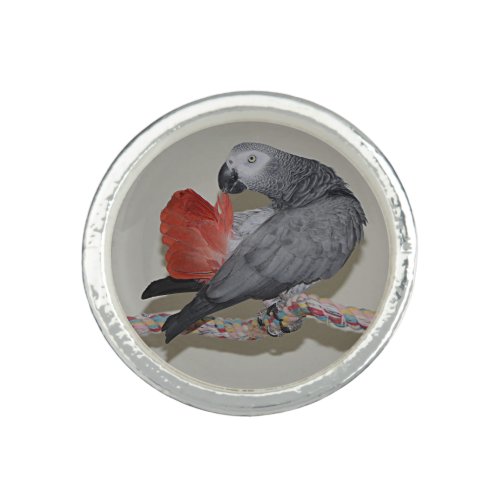 Congo African Grey Parrot Tail Preening Ring