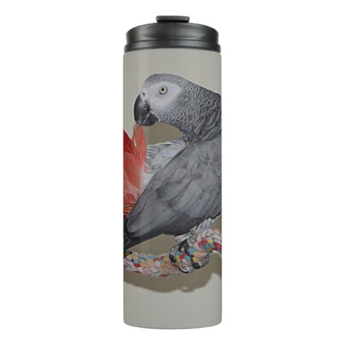 Congo African Grey Parrot Tail Preening Thermal Tumbler