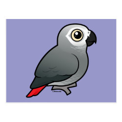 Congo African Grey Postcard