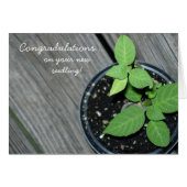 Congradulations! Cards (Front Horizontal)