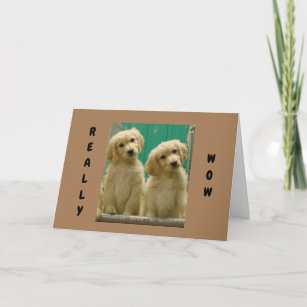 ***CONGRATS*** FROM COOL PUPS CARD