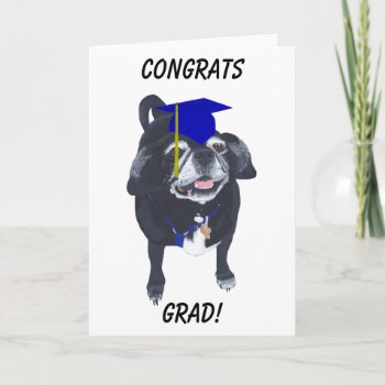 Congrats Grad Pug Dog Blue Cap And Tassel Cards by Cherylsart at Zazzle