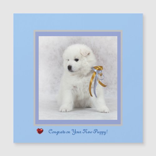 Congrats on New Samoyed Puppy Magnetic Card